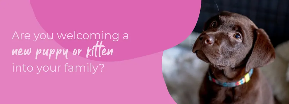 Start of Life for Your Puppy or Kitten