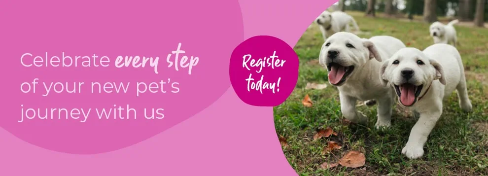 Start of Life for Your Puppy or Kitten