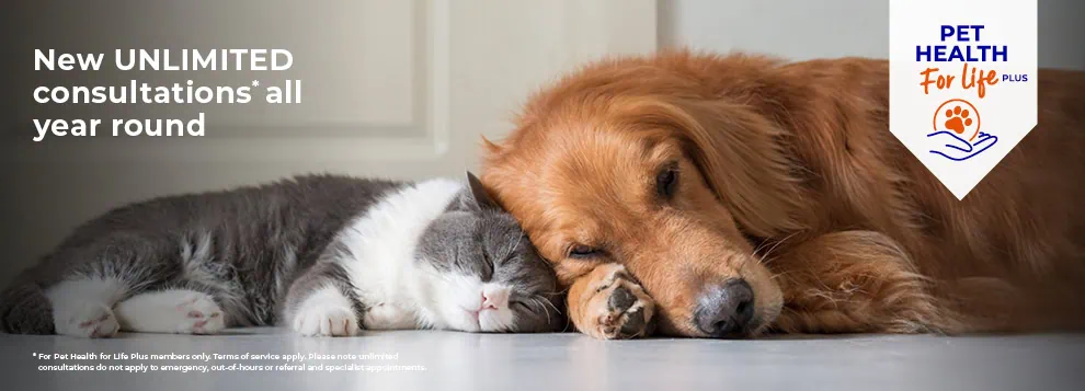 Pet Health for Life by Wicstun Vets