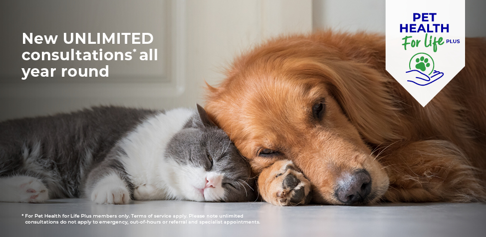 Pet Health for Life by Wicstun Vets
