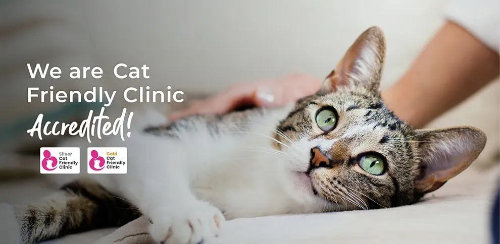 Wicstun Vets in East Riding in Yorkshire