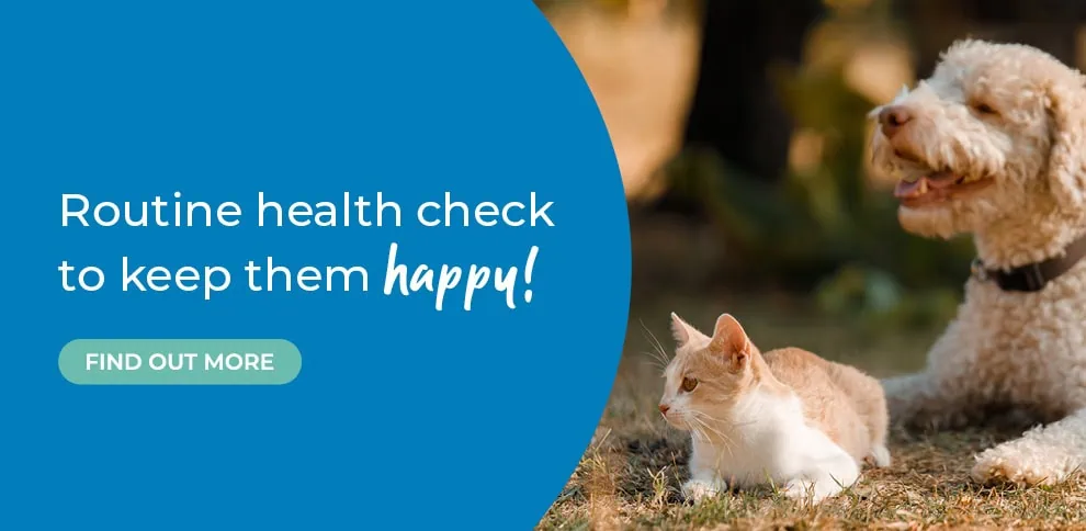 Wicstun Vets in East Riding in Yorkshire